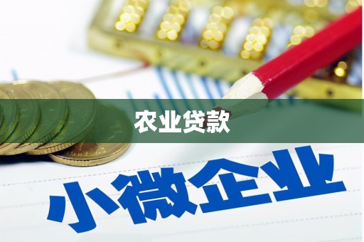 黄江农业贷款
