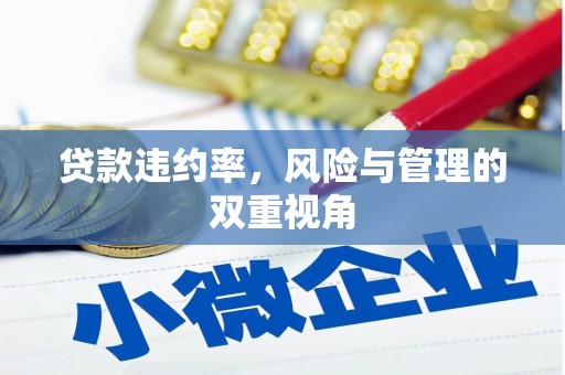 黄江贷款违约率，风险与管理的双重视角
