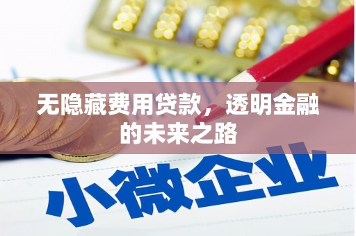 黄江无隐藏费用贷款，透明金融的未来之路