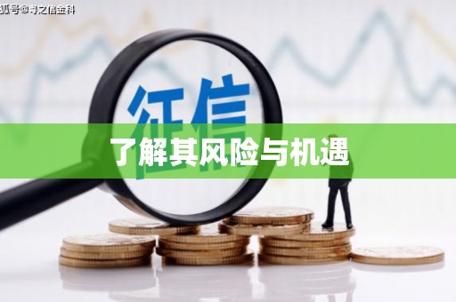 黄江了解其风险与机遇