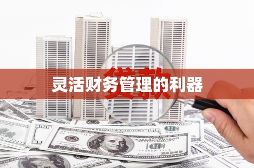 黄江灵活财务管理的利器