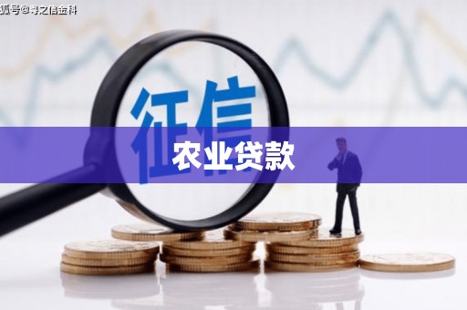 黄江农业贷款
