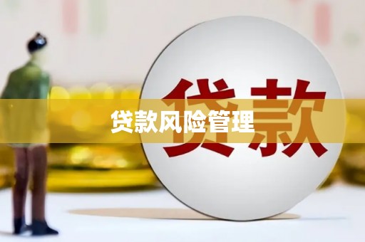 黄江贷款风险管理