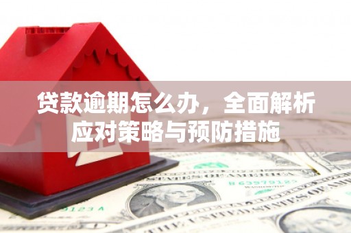 黄江贷款逾期怎么办，全面解析应对策略与预防措施