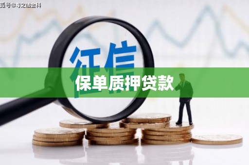 黄江保单质押贷款