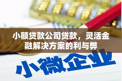 黄江小额贷款公司贷款，灵活金融解决方案的利与弊